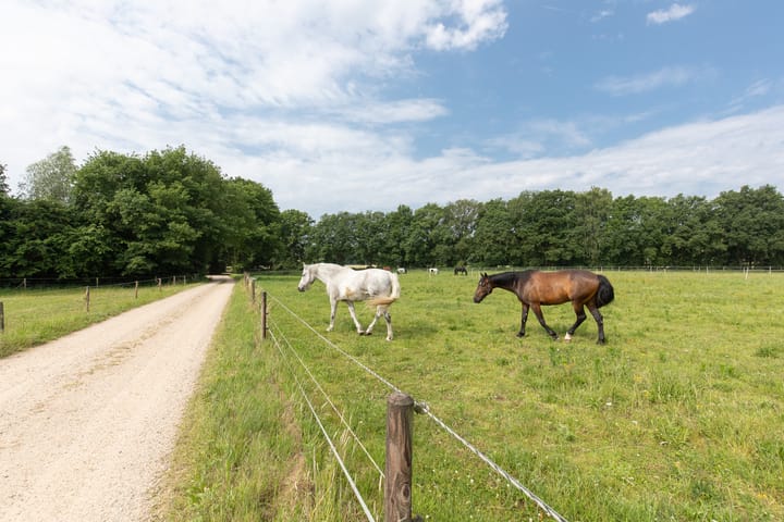 Photo 59 of Braamweg 5