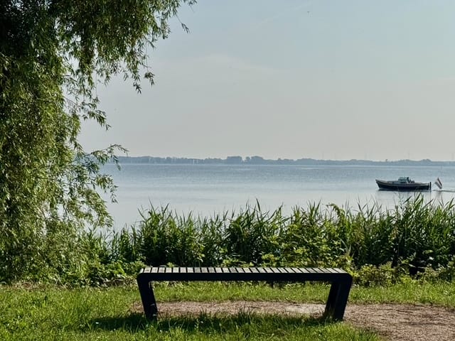 Foto 36 van Strandlaan 12