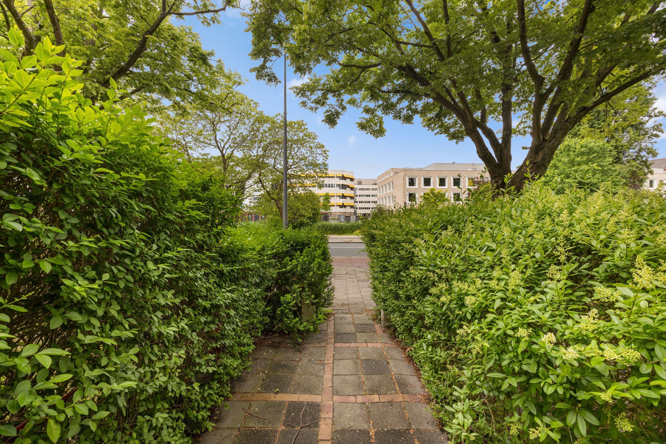 Foto 6 van Petrus Campersingel 199-A