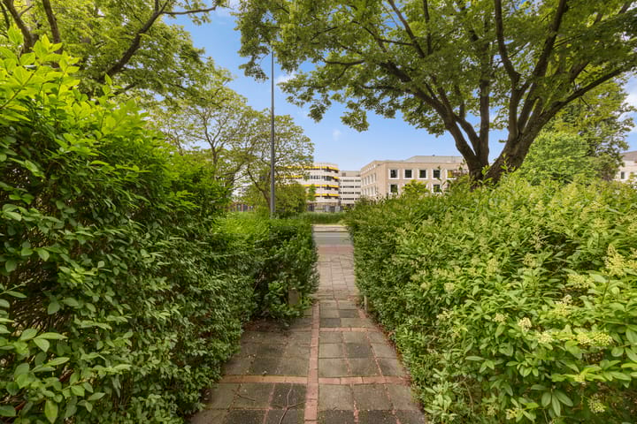 Foto 6 van Petrus Campersingel 199-A