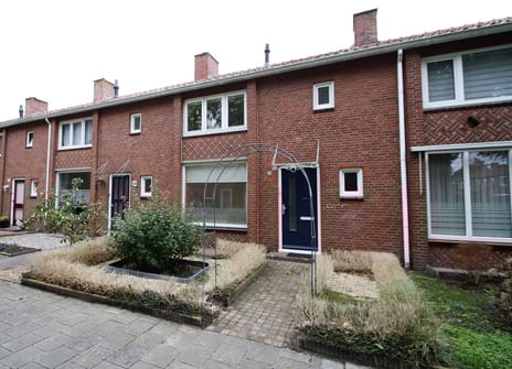 undefined main image