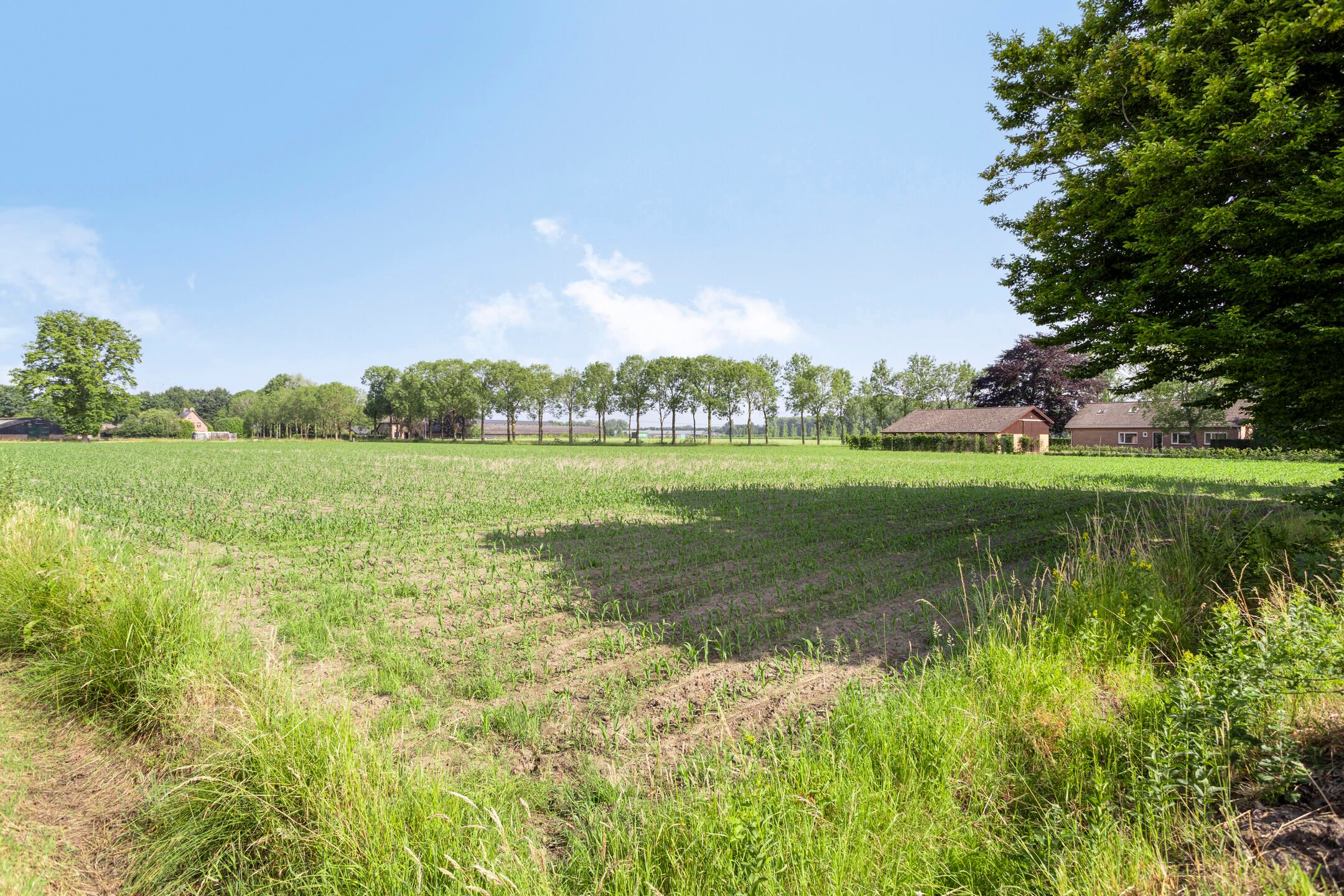 Foto 48 van Mosselaarweg 9