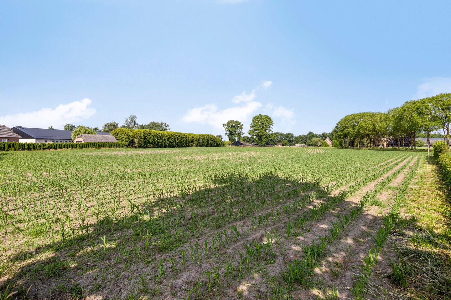 Foto 50 van Mosselaarweg 9