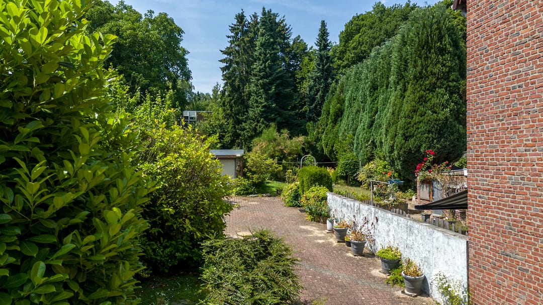 Foto 28 van Meuserstraat 123