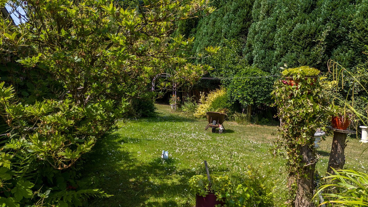 Foto 34 van Meuserstraat 123