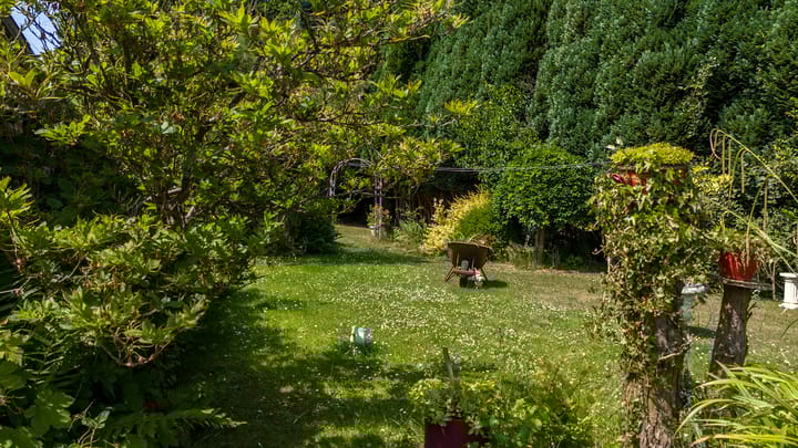 Foto 34 van Meuserstraat 123