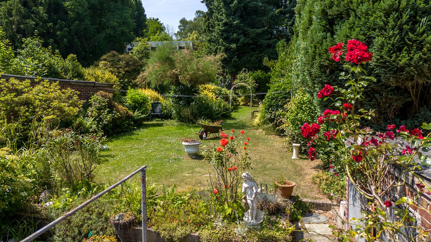 Foto 35 van Meuserstraat 123