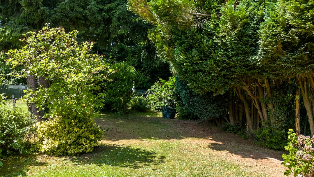 Foto 38 van Meuserstraat 123