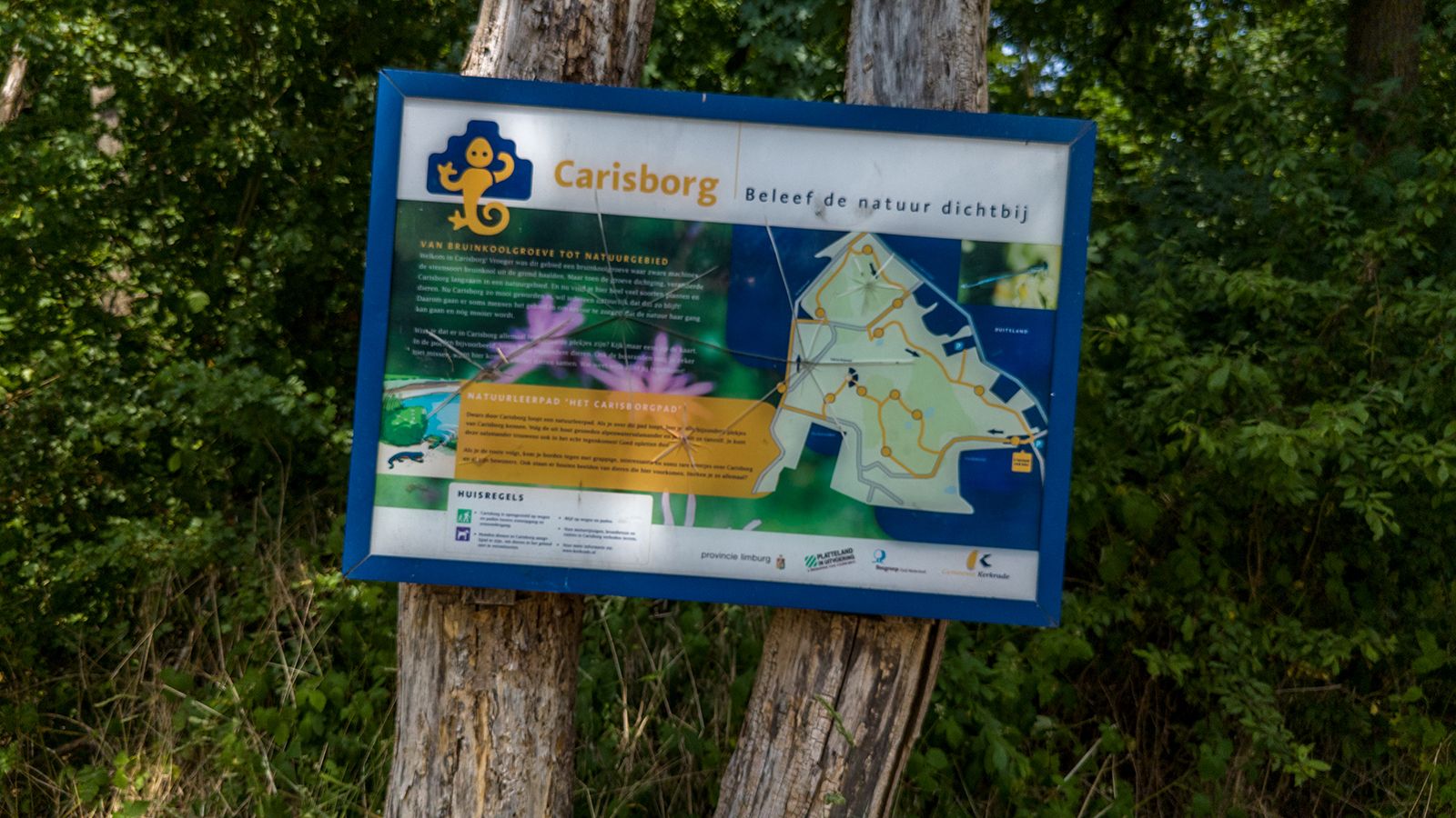 Foto 45 van Meuserstraat 123