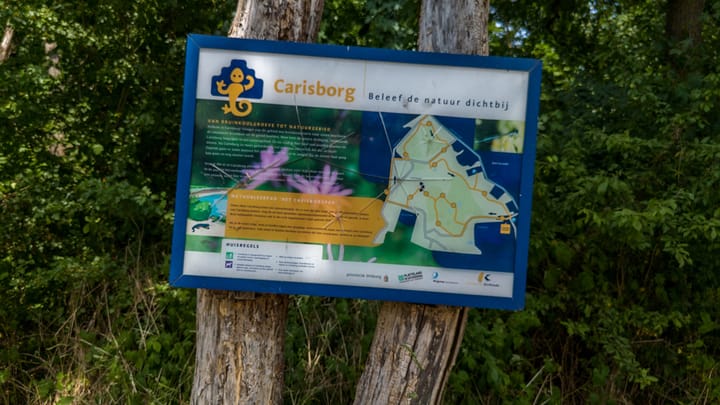 Foto 45 van Meuserstraat 123