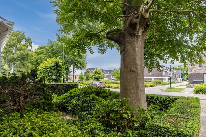 Foto 7 van Lange Wagenstraat 49