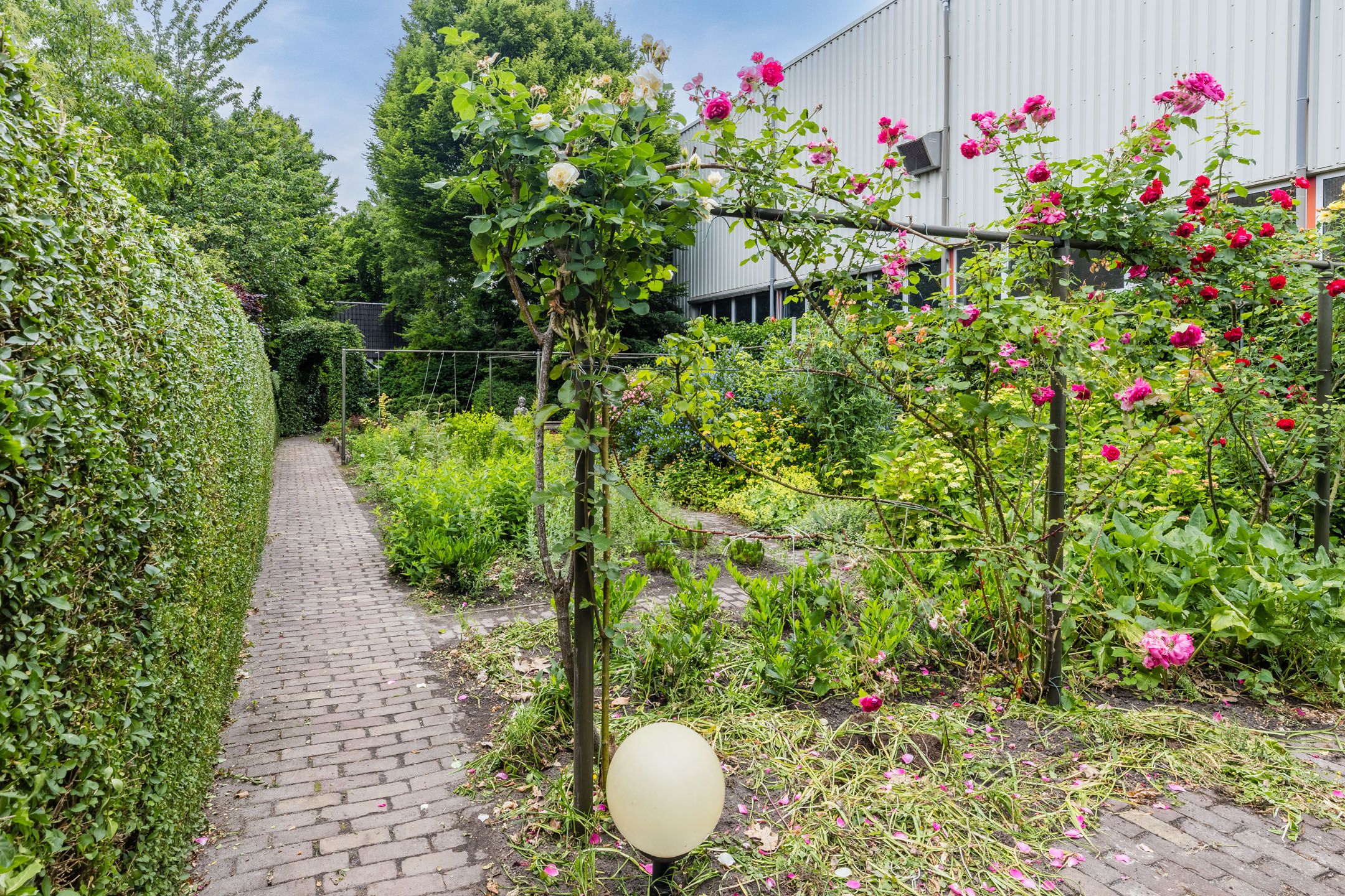 Foto 45 van Lange Wagenstraat 49