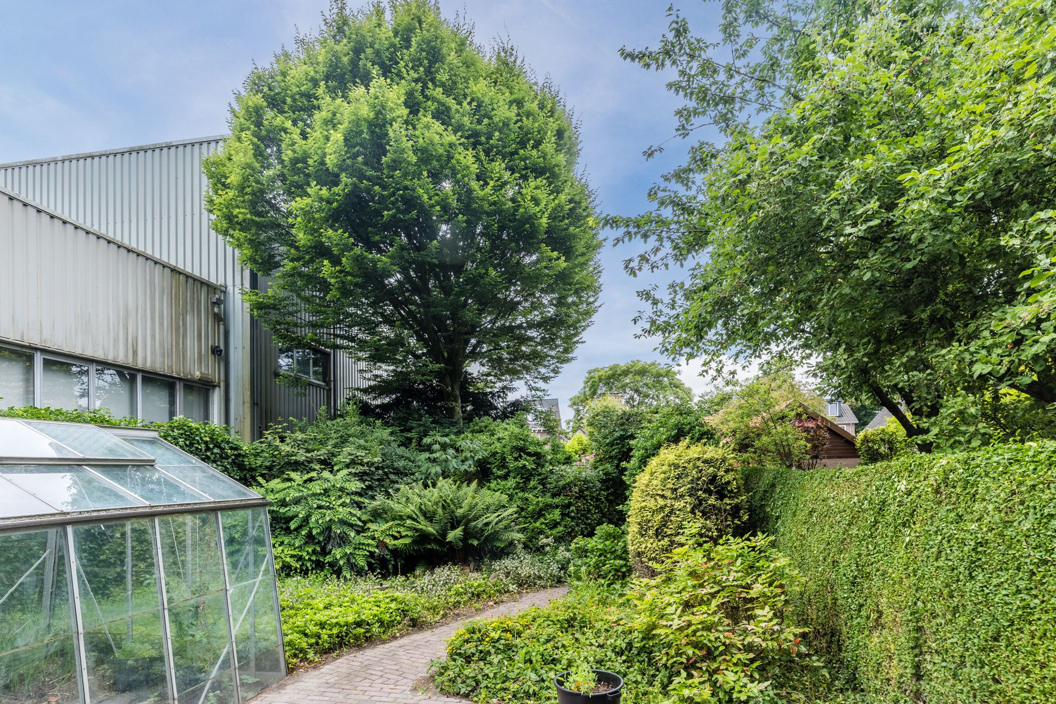 Foto 48 van Lange Wagenstraat 49