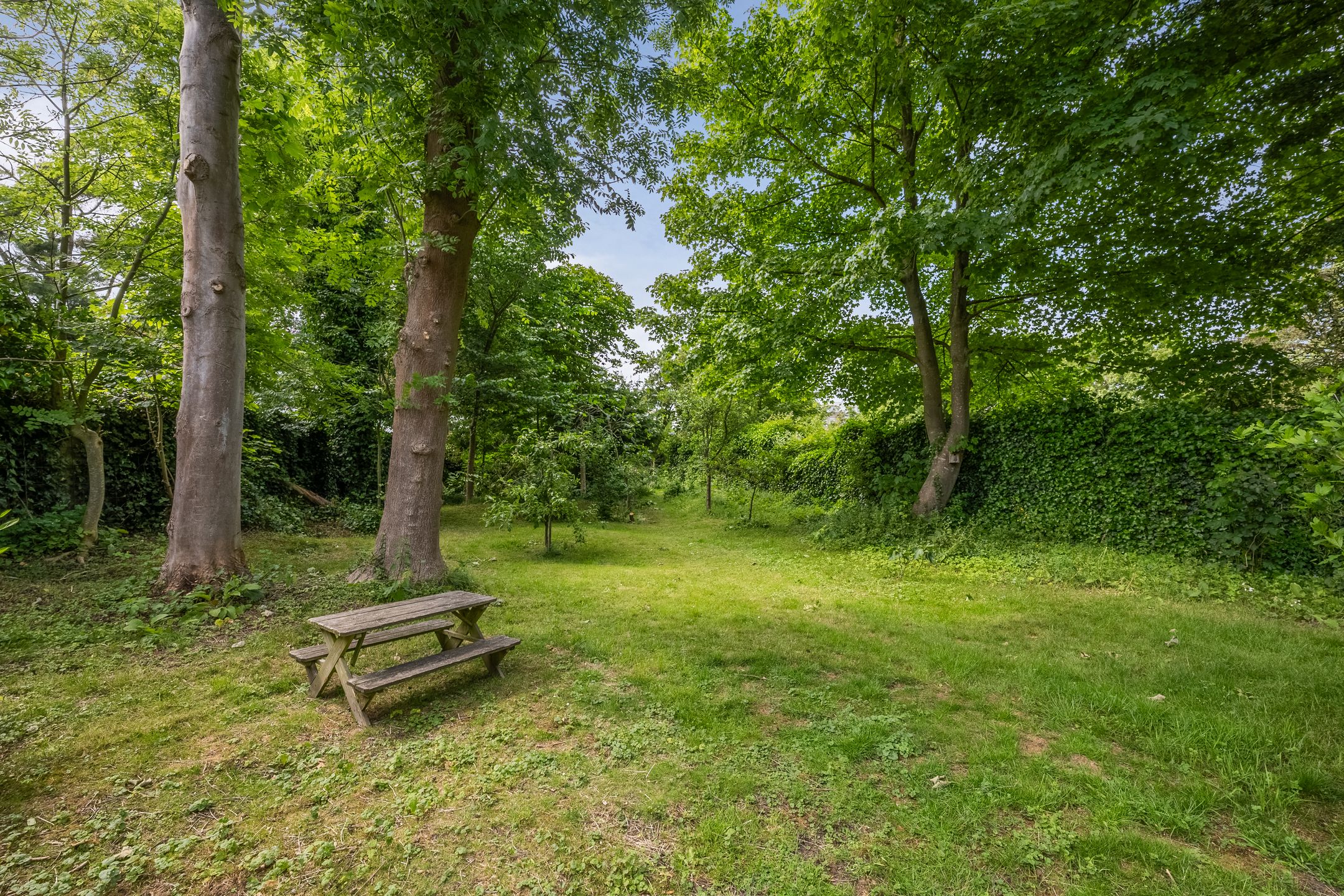 Foto 36 van Ign. Bispincklaan 68