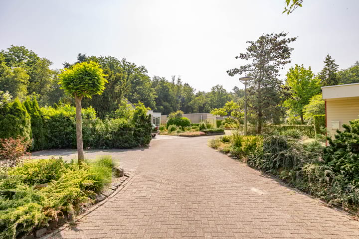 Foto 65 van De Santbrincke 55