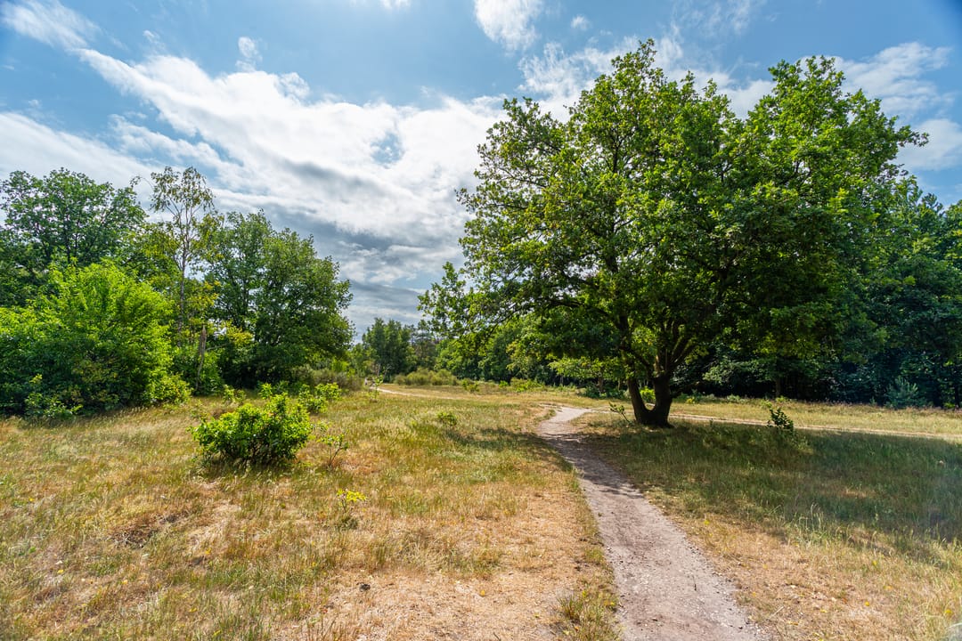 Foto 43 van Van Wassenaerlaan 16