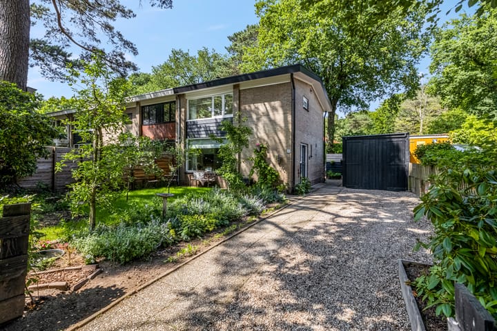 Foto 2 van Buurtscheuterlaan 99