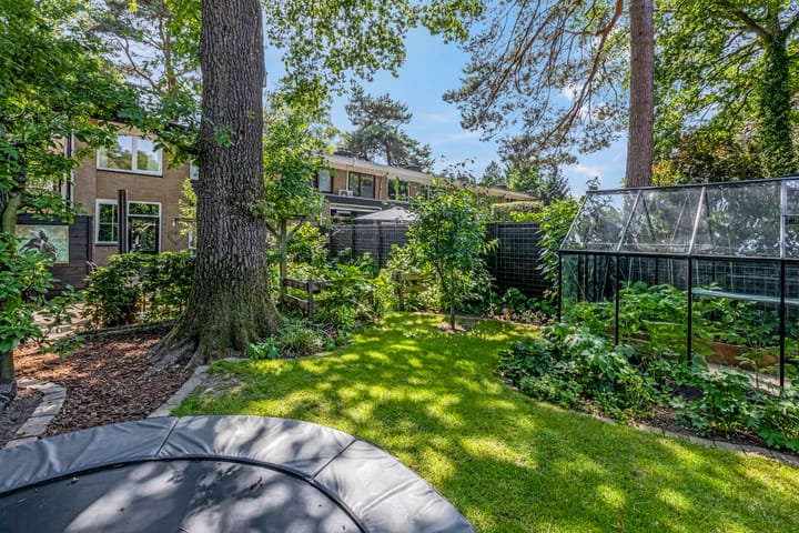 Foto 31 van Buurtscheuterlaan 99