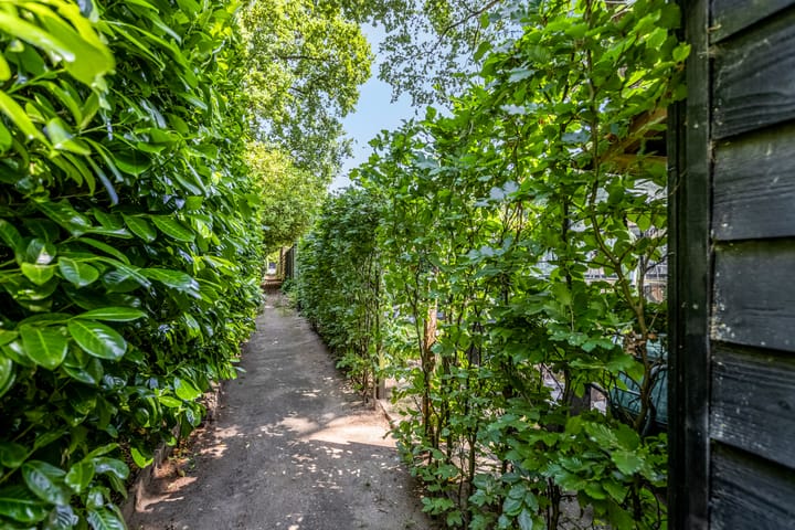 Foto 33 van Buurtscheuterlaan 99