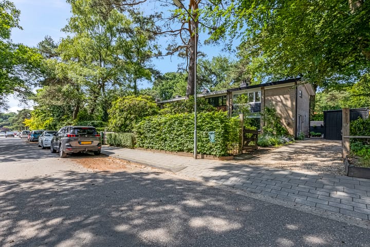 Foto 39 van Buurtscheuterlaan 99