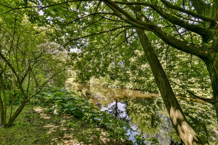 Foto 24 van Tiengemeten 77