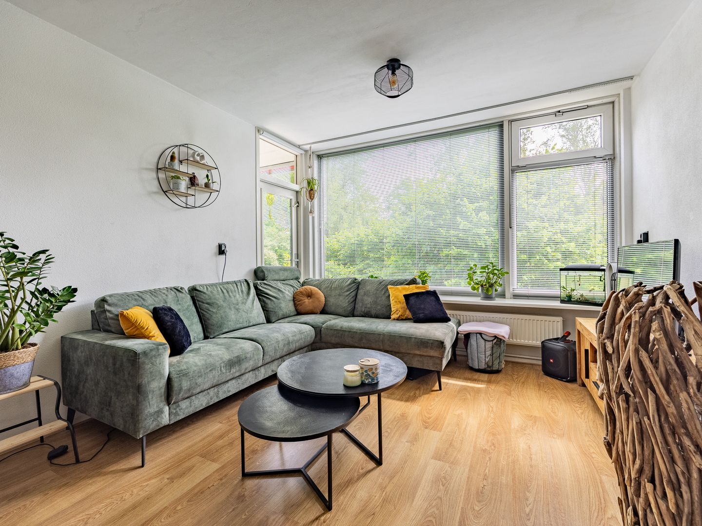 Foto 5 van Mezenlaan 19