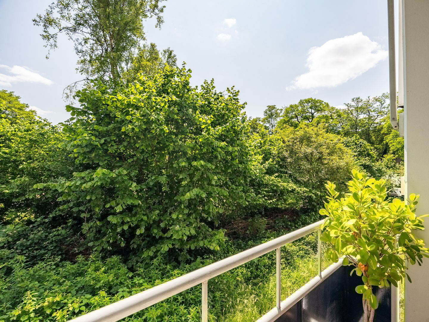 Foto 20 van Mezenlaan 19