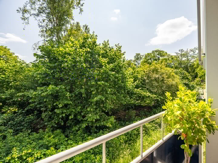 Foto 20 van Mezenlaan 19