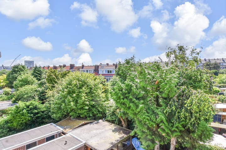 Photo 19 of Aronskelkweg 266