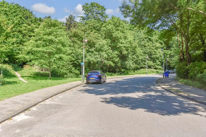 Photo 64 of Aronskelkweg 266