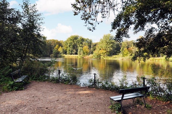 Photo 66 of Aronskelkweg 266