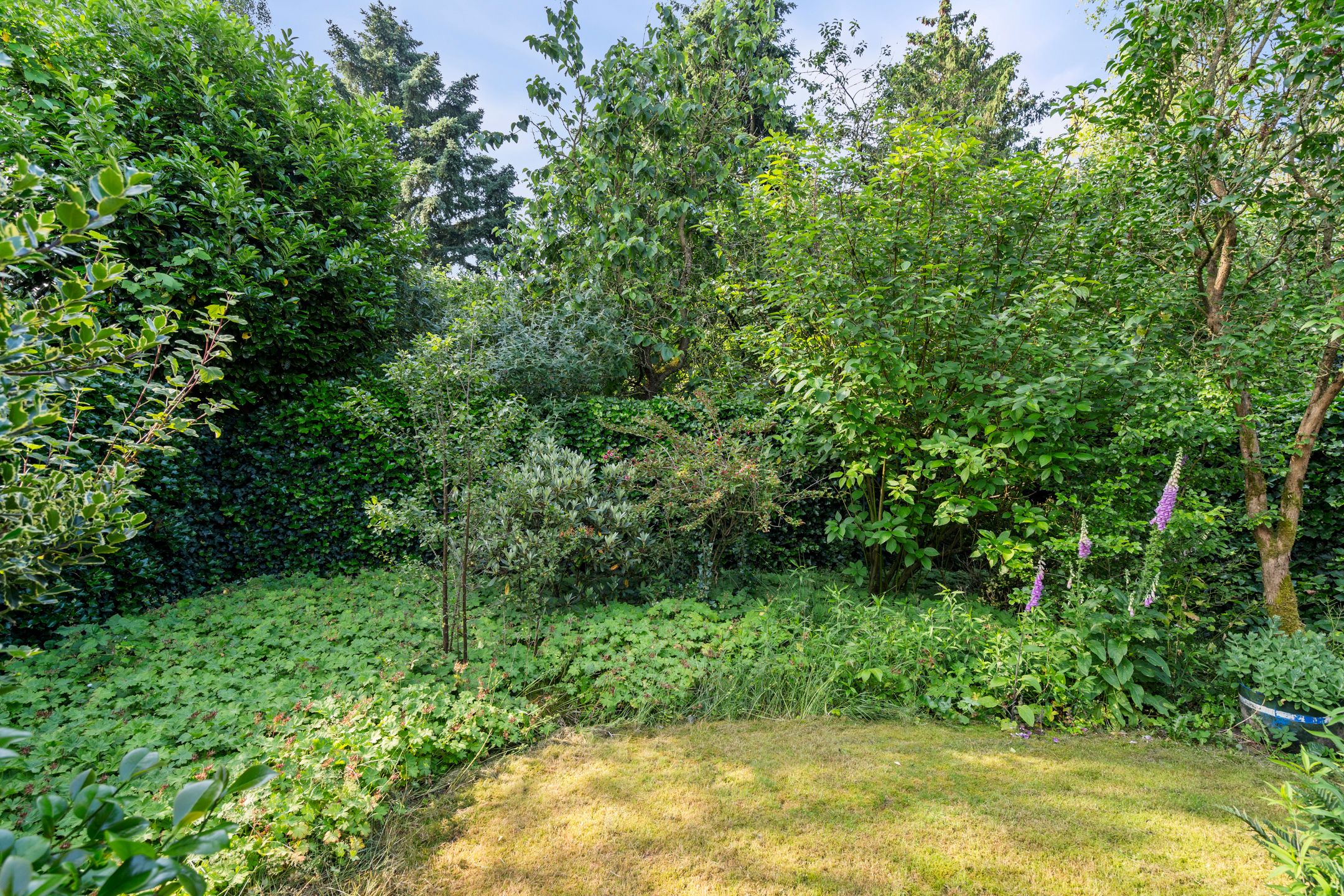 Foto 30 van Swammerdamlaan 20