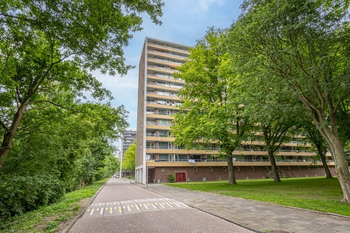 Foto 7 van Langswater 191