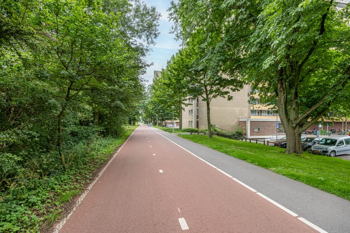 Foto 48 van Langswater 191