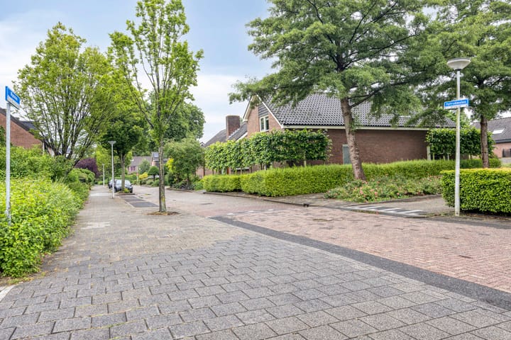 Foto 8 van Paltrokmolen 1