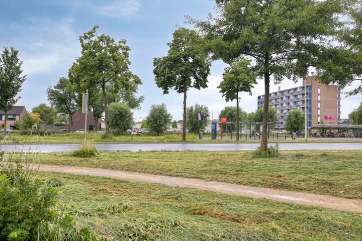 Foto 38 van Paltrokmolen 1