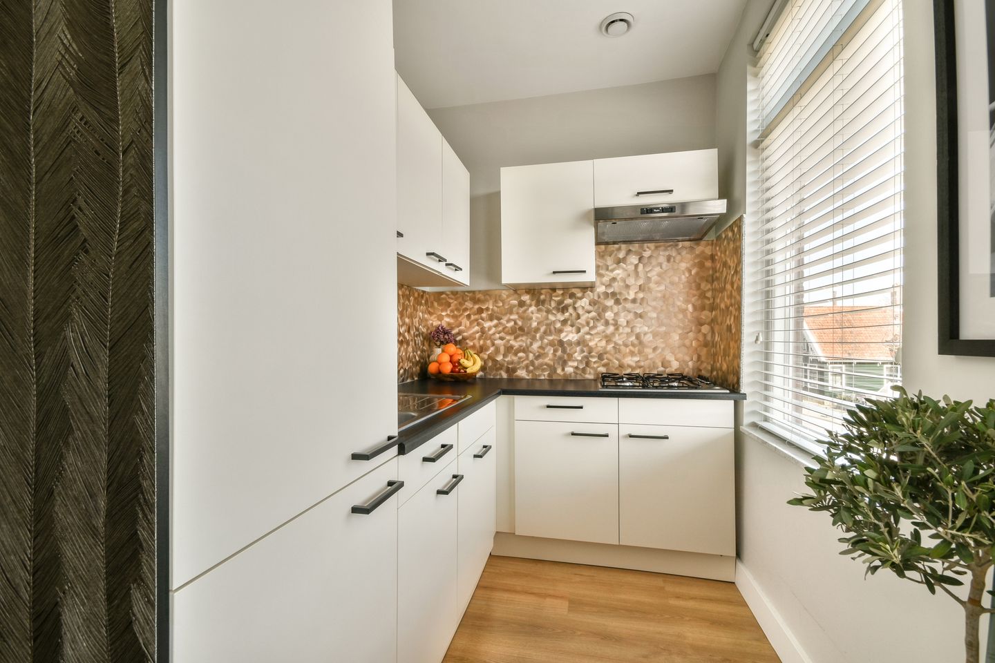 Foto 10 van Zuideinde 141-A