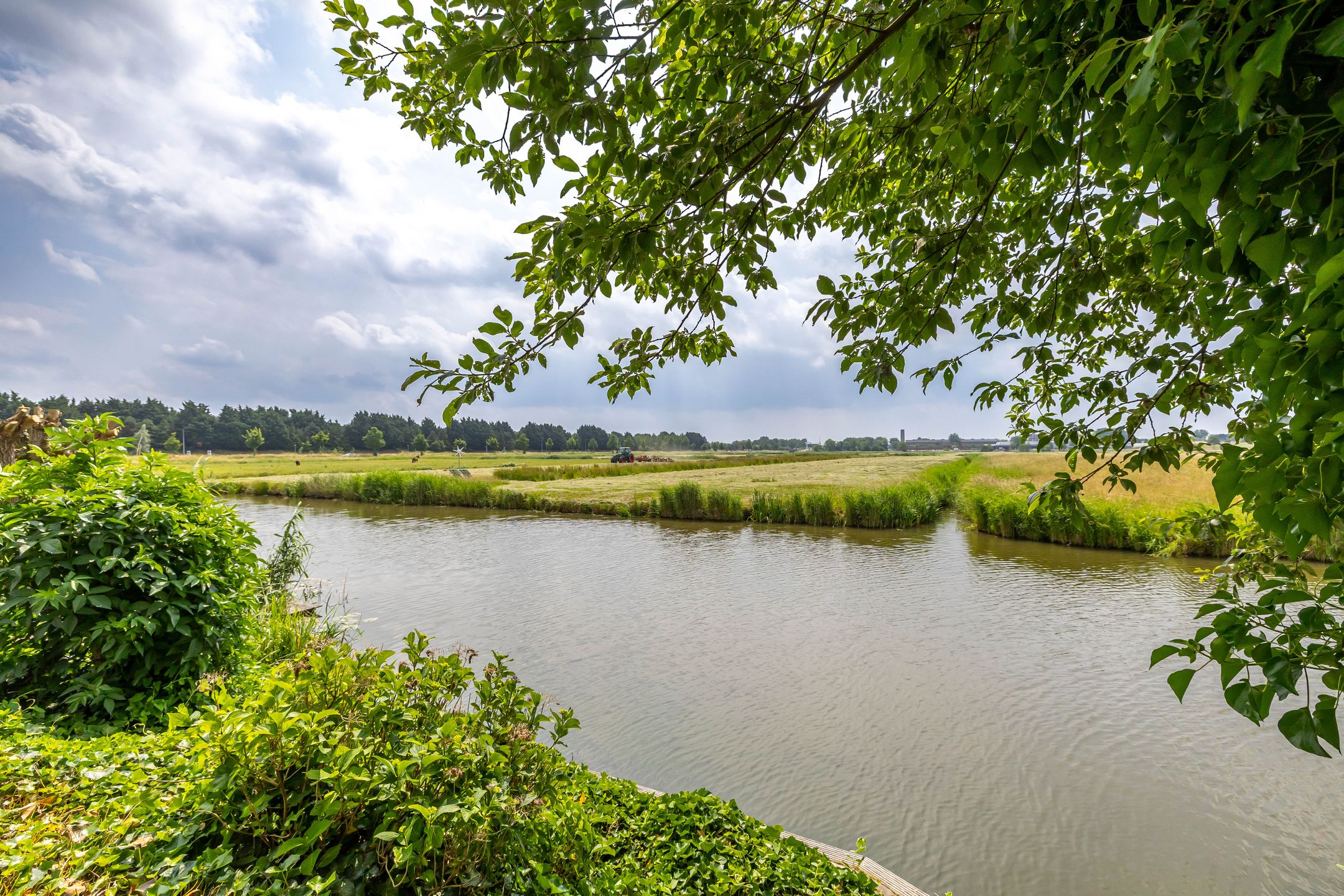 Foto 3 van Kliefdiep 28