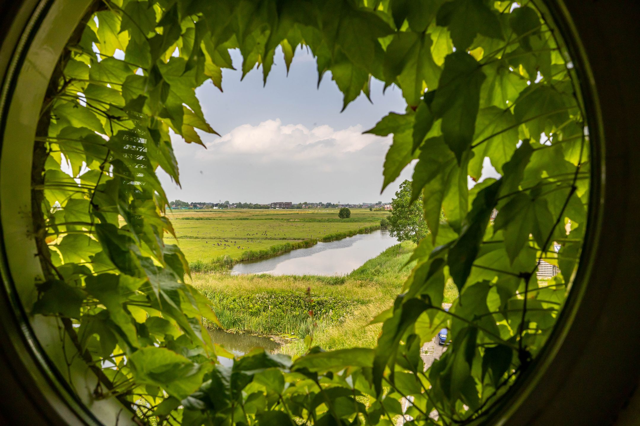 Foto 27 van Kliefdiep 28