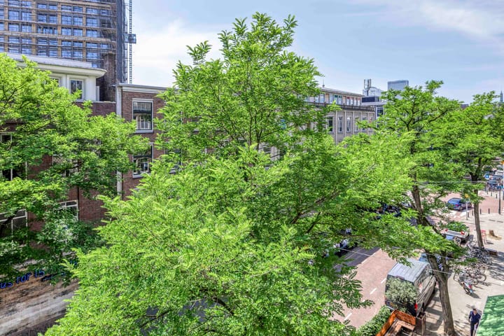 Foto 17 van Witte de Withstraat 11-D