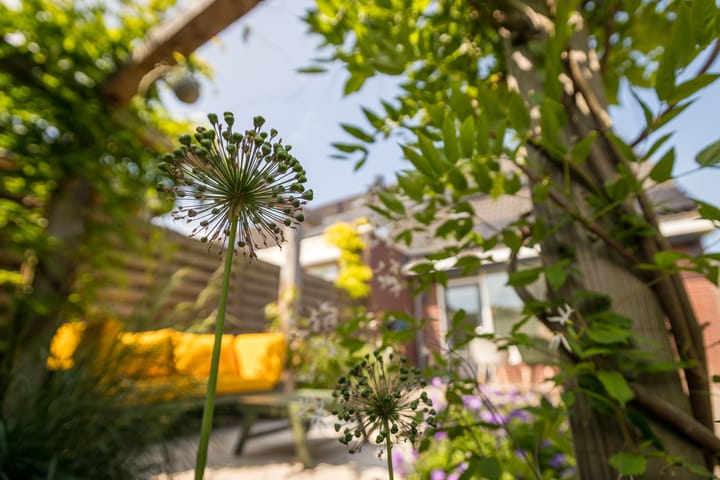 Photo 41 of Watersnip 12