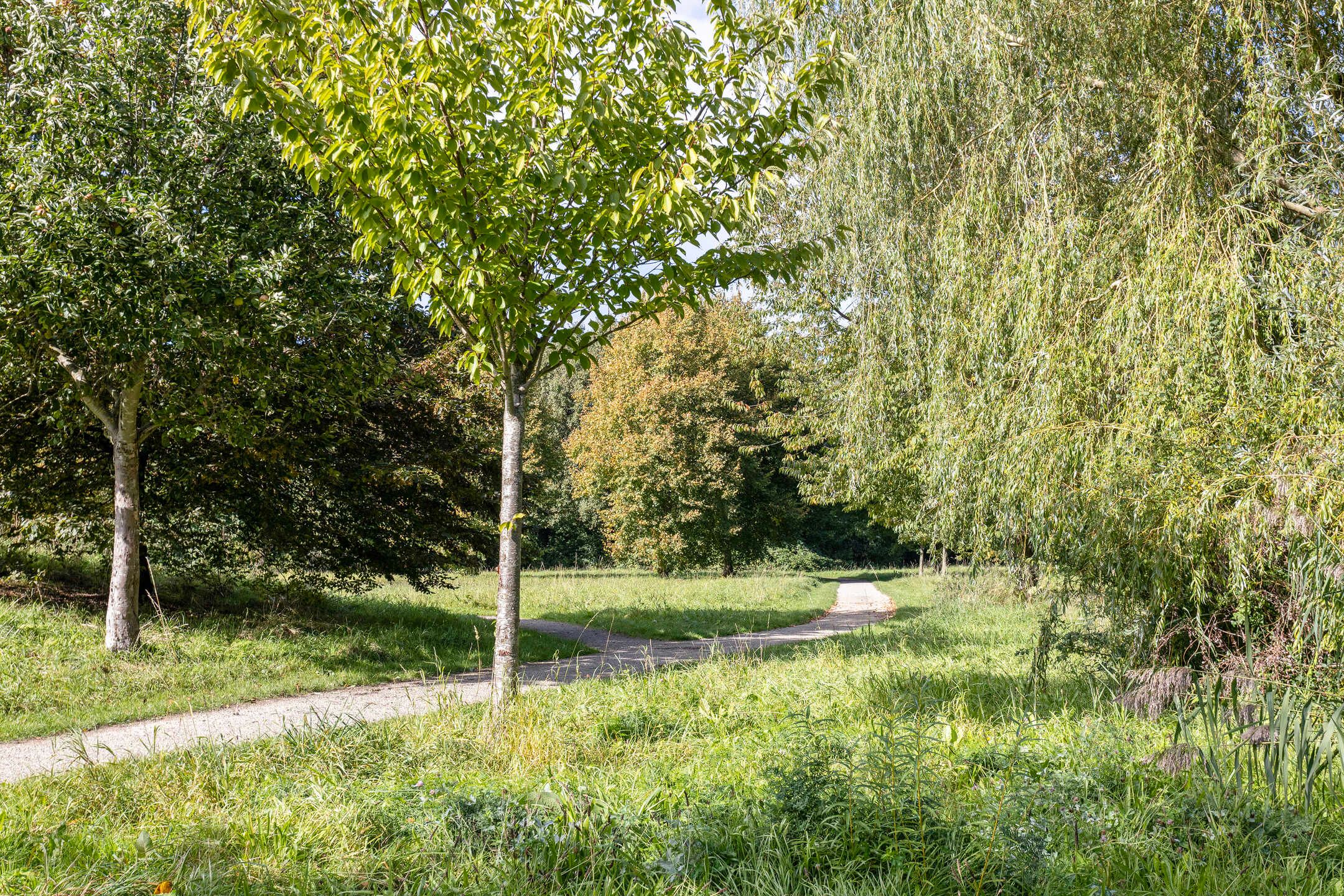 Foto 45 van Oudenrijnsingel 49