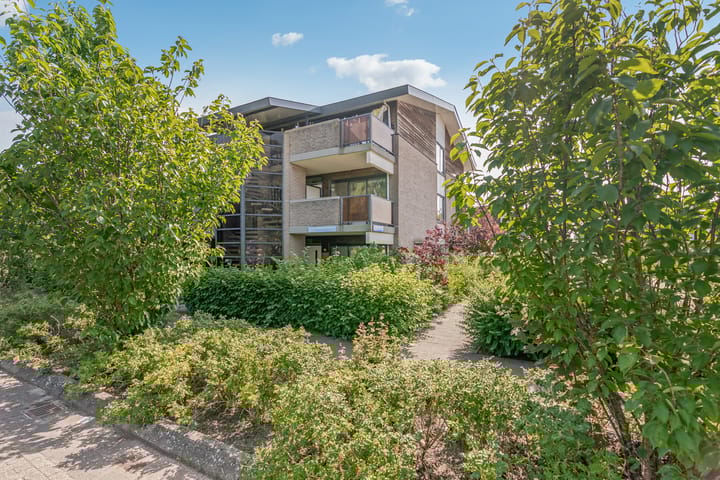 Foto 2 van Lavendelplantsoen 2