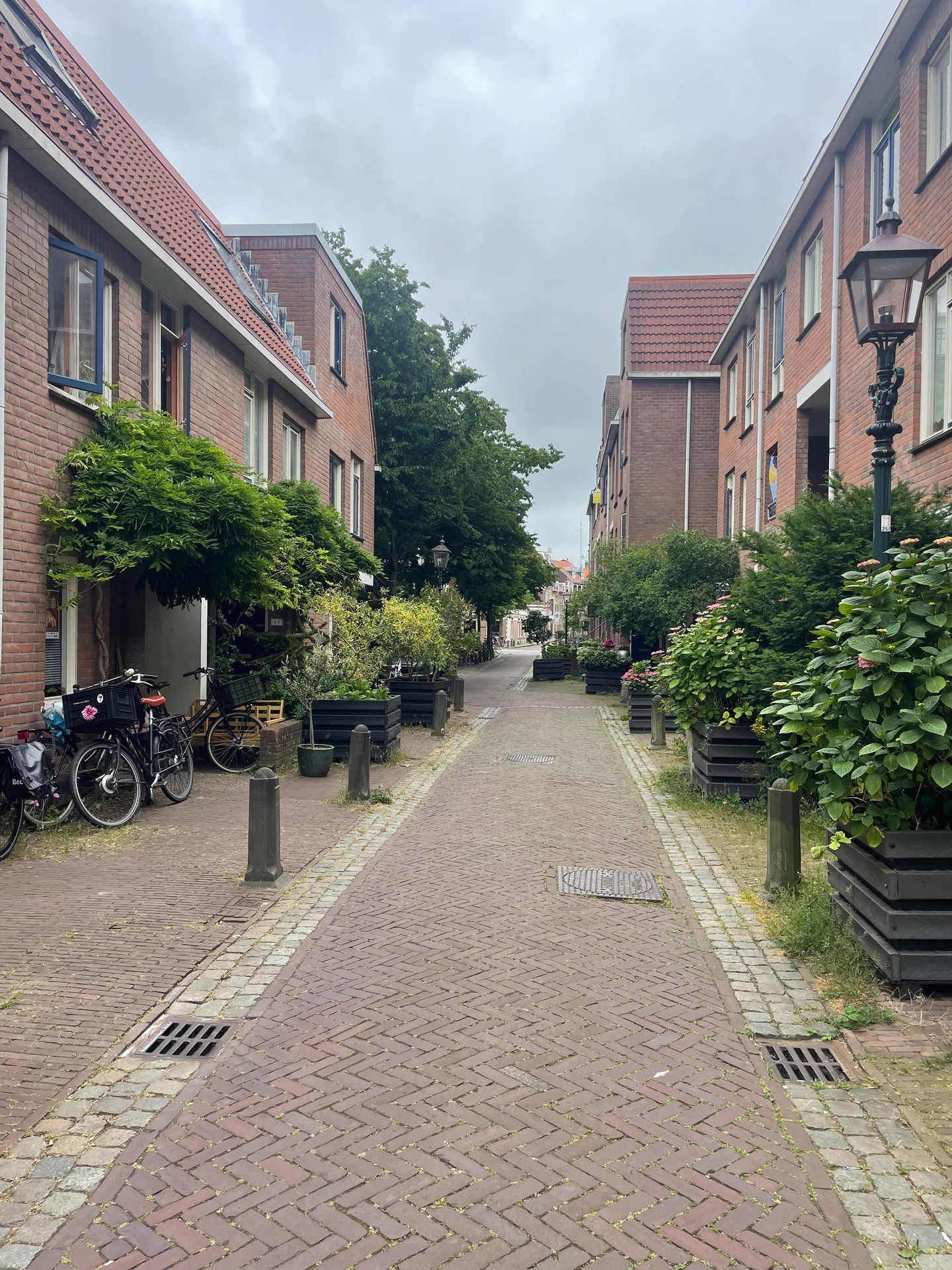 Foto 4 van Kraaienhorst 41