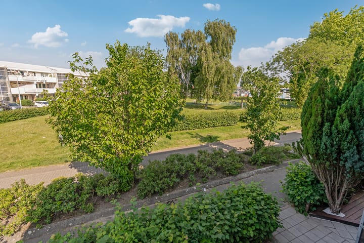 Foto 18 van Lavendelplantsoen 2