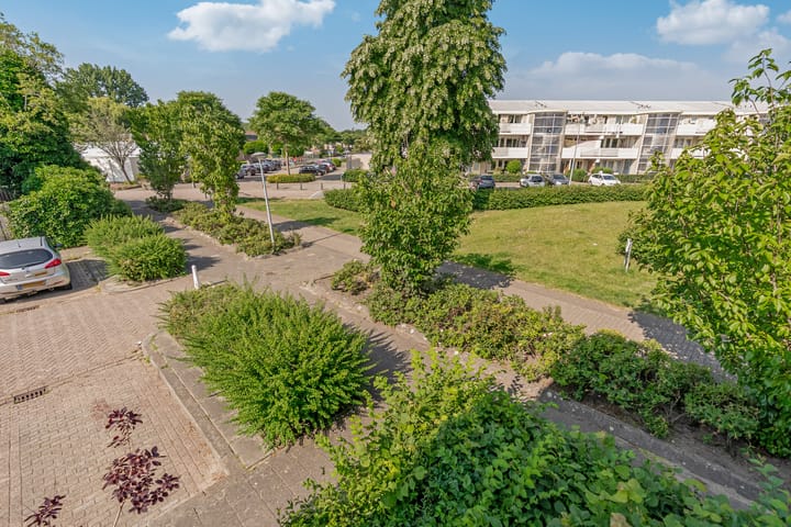 Foto 20 van Lavendelplantsoen 2