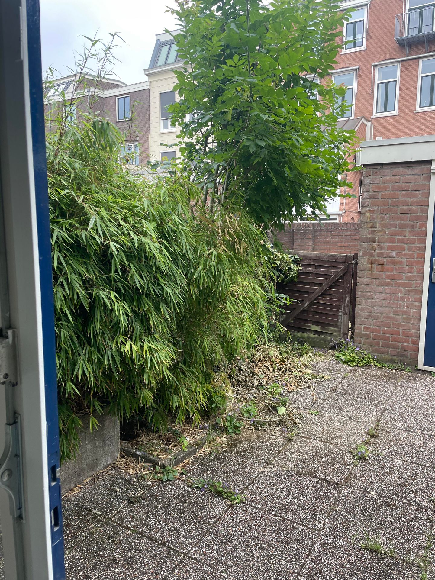 Foto 25 van Kraaienhorst 41