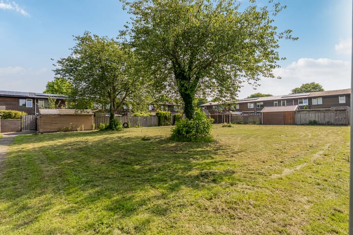 Foto 36 van Lavendelplantsoen 2