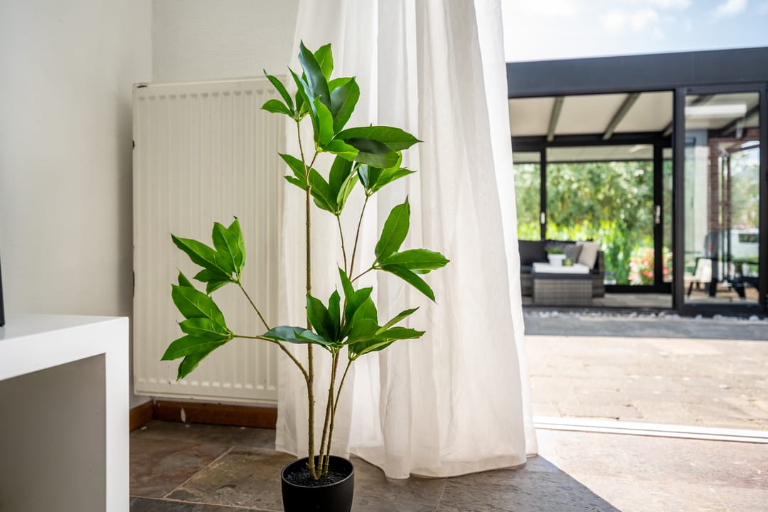 Foto 31 van John Raedeckerhof 171