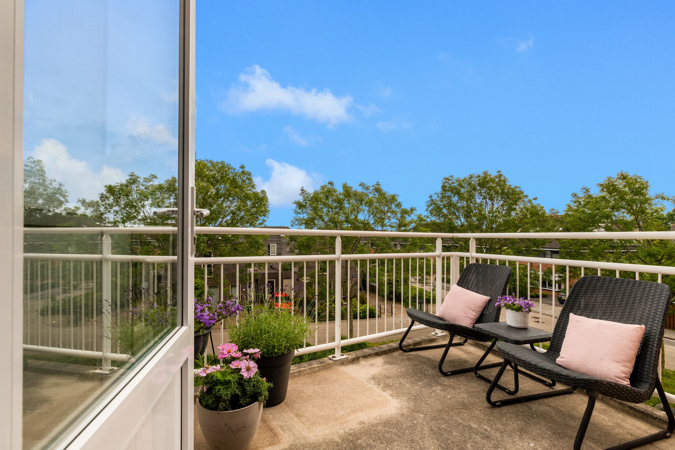 Photo 12 of De Spin 120